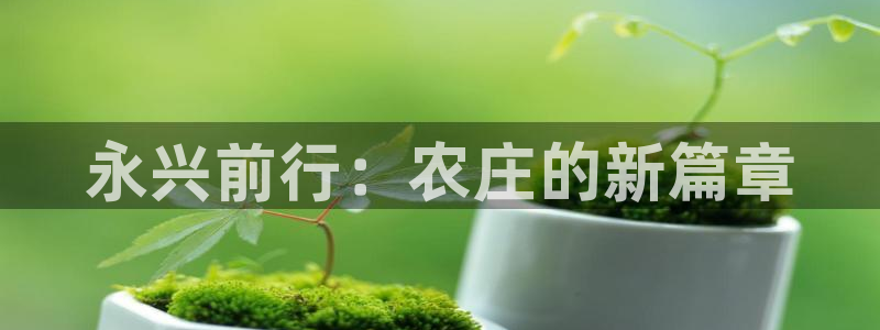 必一体育下载入口