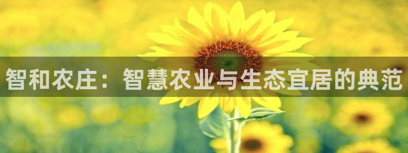 必一体育合法吗