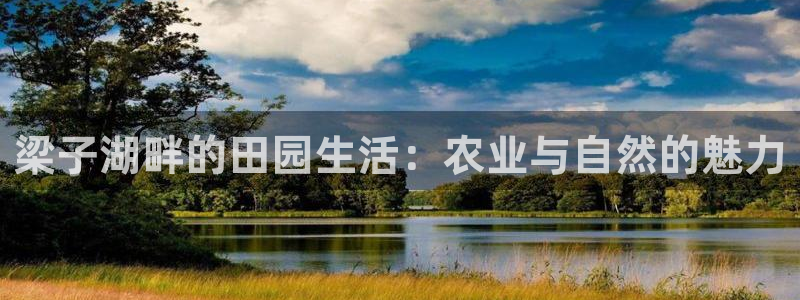 必一体育是啥