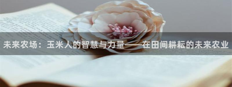 必一体育app官方网站