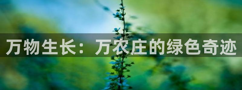必一体育app下载最新版本苹果