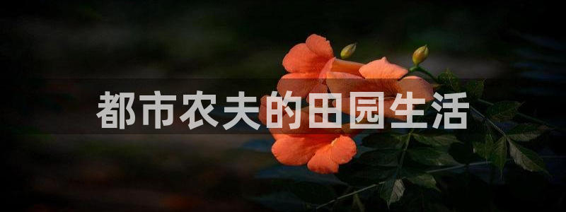 必一体育官网网站