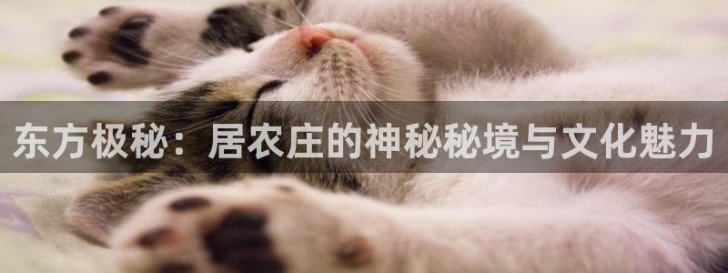必一运动bsport体育app下载