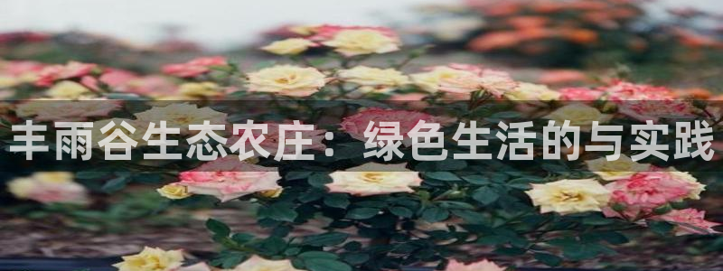 必一体育app下载最新版本