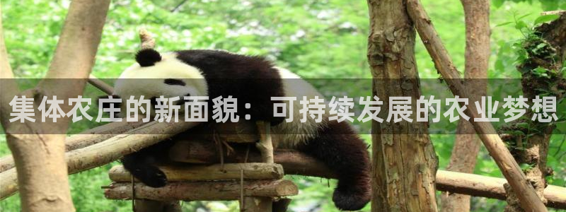 必一体育是啥
