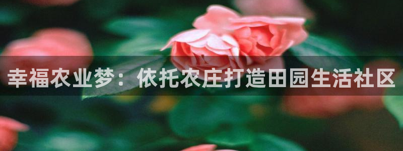 必一体育在线官网