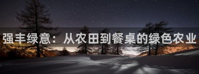 必一体育sport