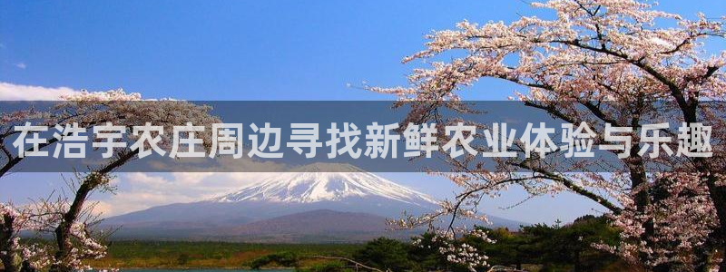 必一体育黑钱