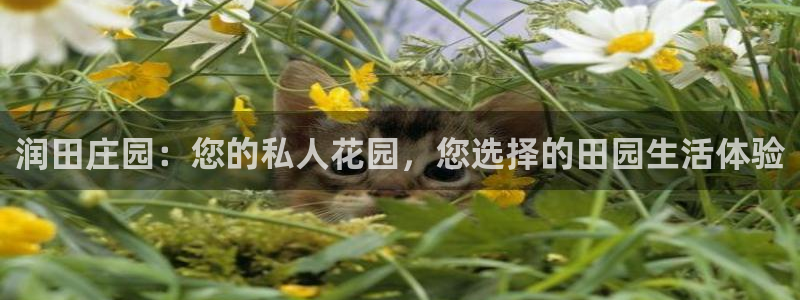 必一体育网页