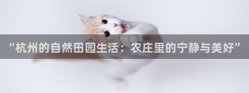 必一运动验证码