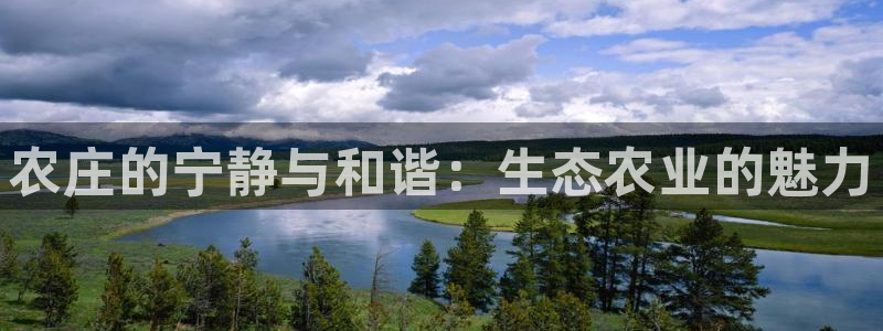 必一体育下载app