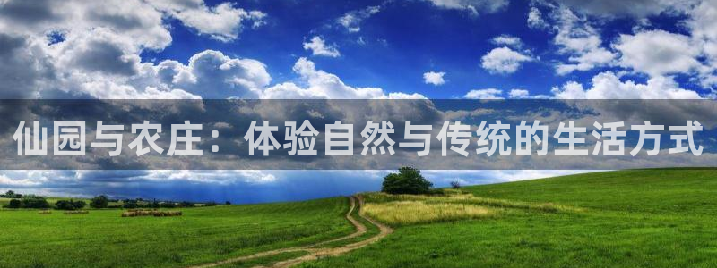 必一体育官网网址