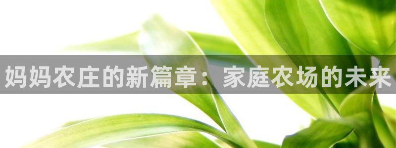 必一运动·(B-Sports)