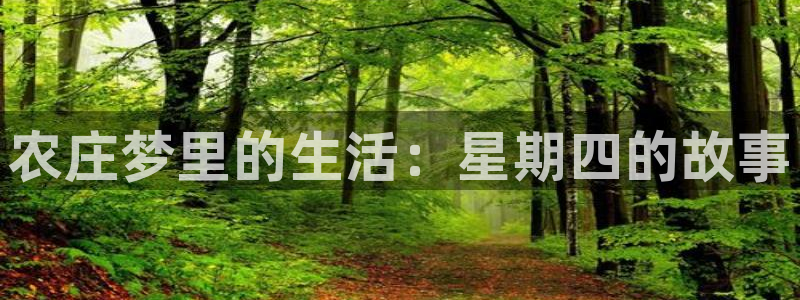 必一体育全站在线登录入口