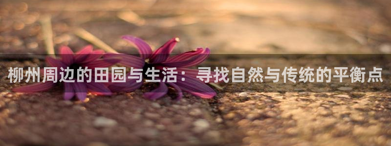 必一体育登录APP下载