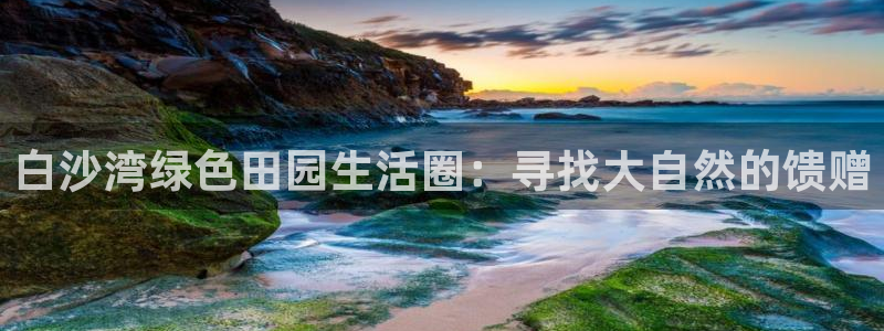 必一体育怎么下载