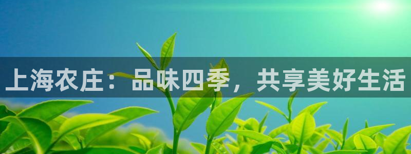 必一体育网站