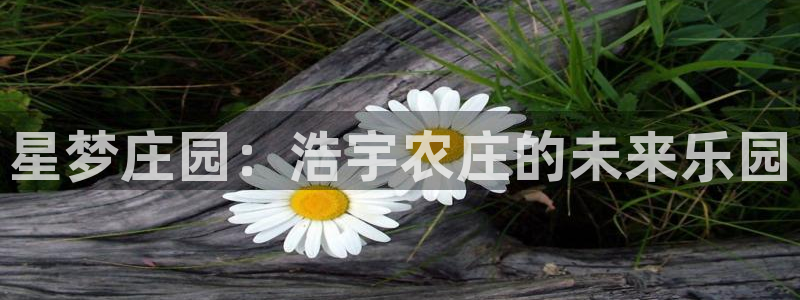 必一体育运动官网