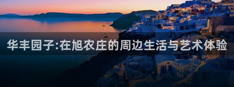 必一运动 b 体育素描版