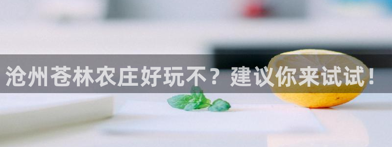 必一体育sport官网