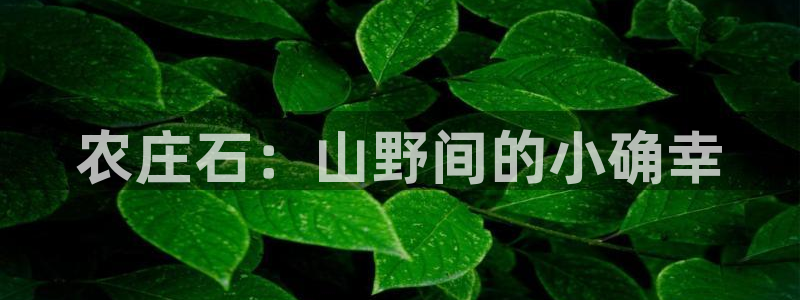 必一体育运动下载