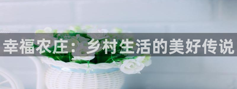 必一体育游戏特色