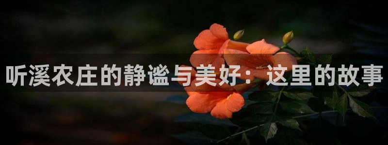 必一体育下载一样吗