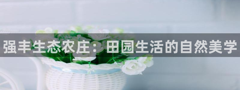 必一体育下载一样吗