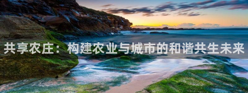必一体育下载登入