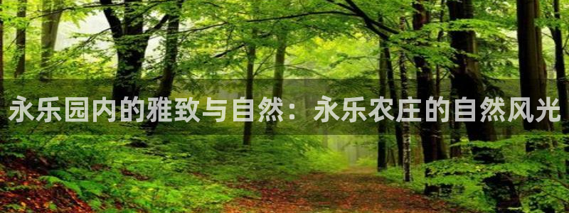 必一体育登录入口APP