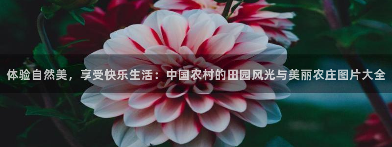 必一体育app官方下载