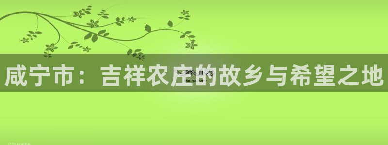 必一体育官网网址