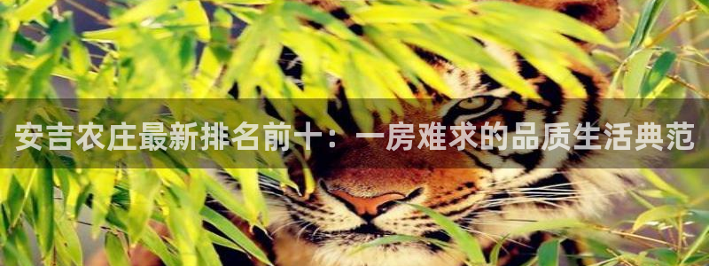 必一运动官网入口