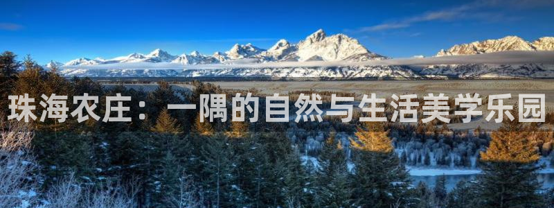 必一体育官方下载