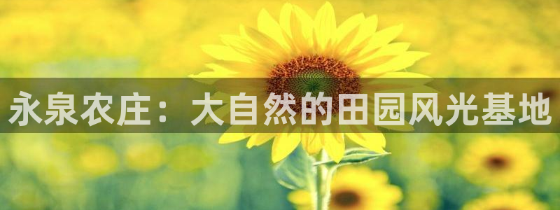 必一体育app官方