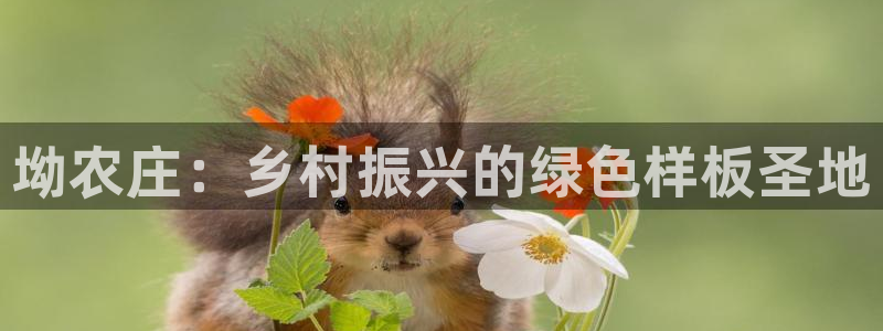 必一体育下载app