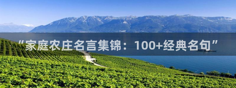 必一体育运动app