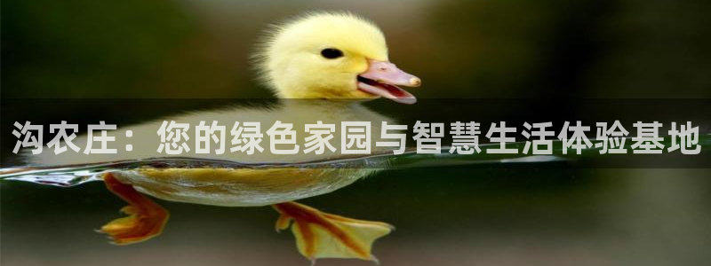必一体育下载登入