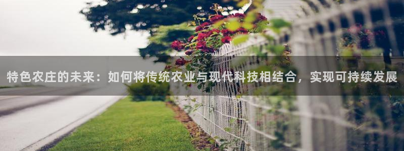 必一体育bsport下载