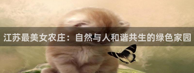 必一体育