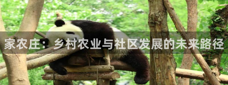 必一体育网页登录版官网