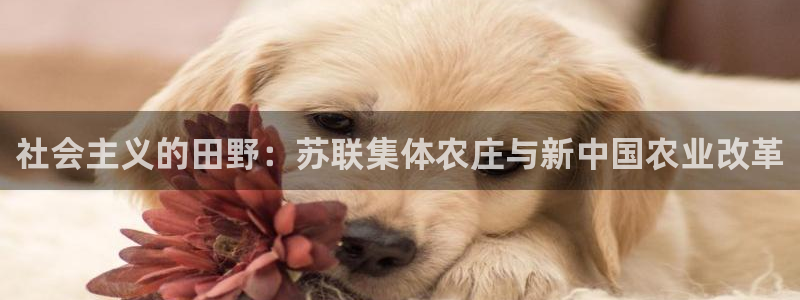 必一运动官网入口