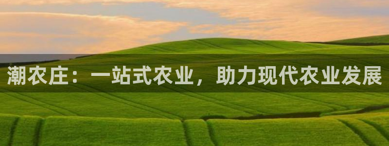 必一体育登录入口