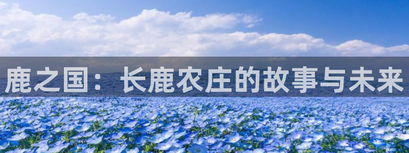 必一体育运动官网
