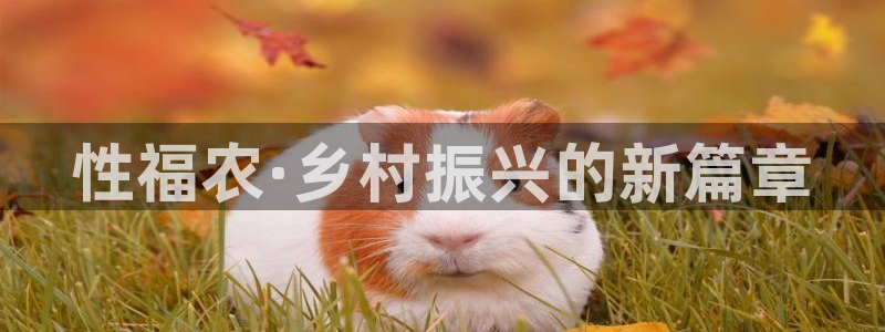 必一体育sport装机吧