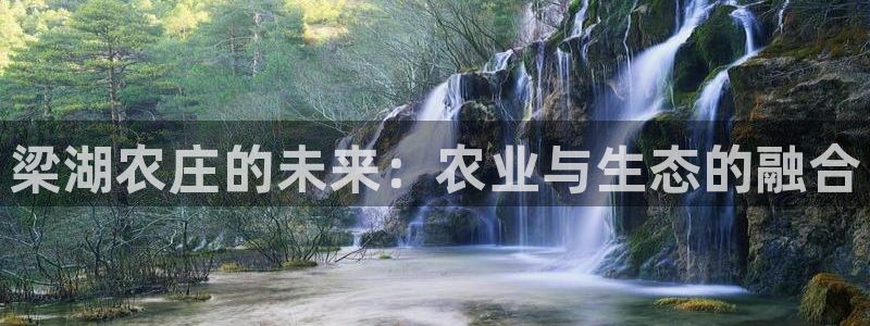 必一体育游戏玩法