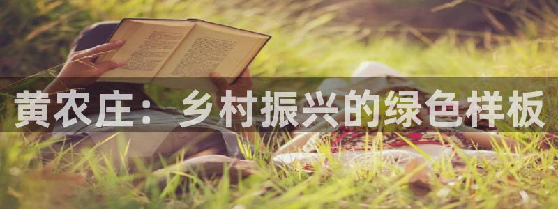 b体育必一下载