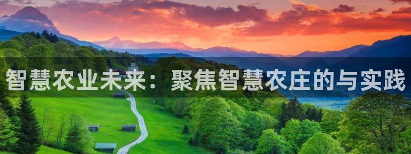 必一体育平台