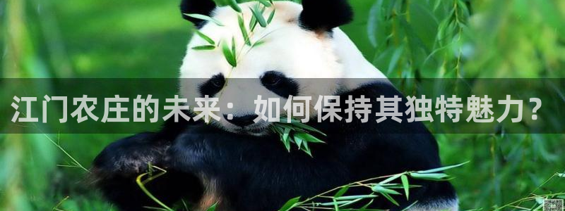 b体育官网下载入口app必一