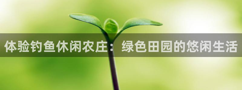 必一运动官网装机吧